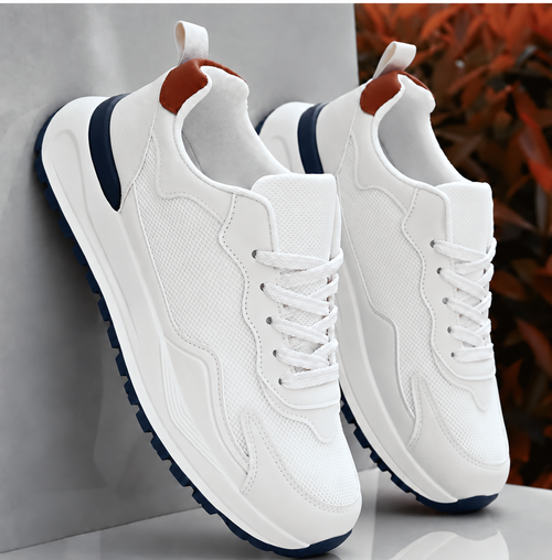 AD - Elegant Shoes Limited Edition